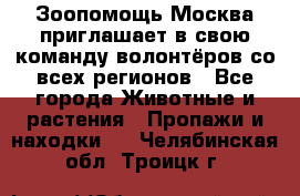 Зоопомощь.Москва приглашает в свою команду волонтёров со всех регионов - Все города Животные и растения » Пропажи и находки   . Челябинская обл.,Троицк г.